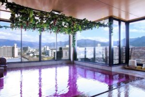 美と健康と癒しの宿 ホテル八田